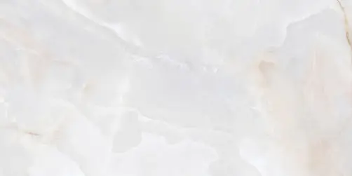 Bone